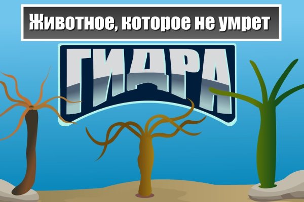 Кракен тор kraken014 com